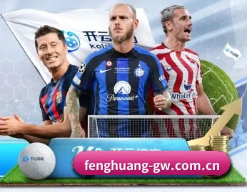 凤凰体育官方网站的故事 - 体育资讯内容服务